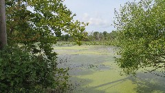 Sheldon Marsh; Huron, OH